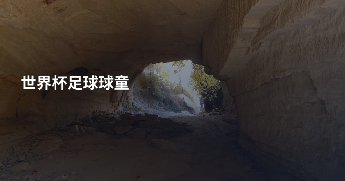 世界杯足球球童