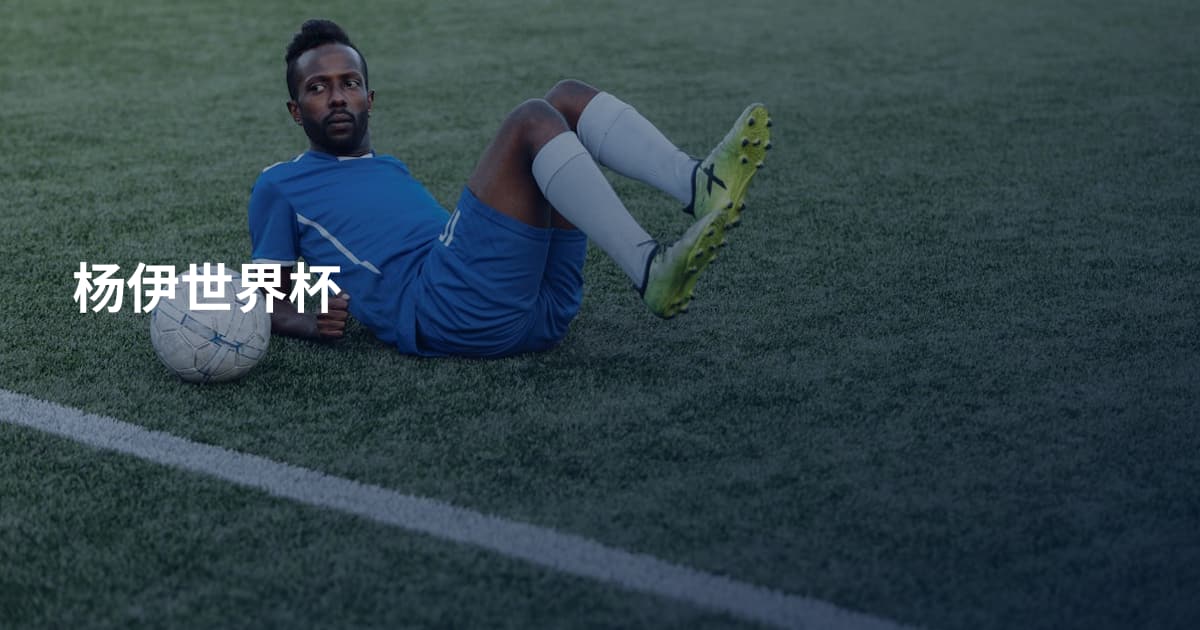 杨伊世界杯