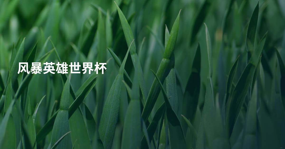 风暴英雄世界杯