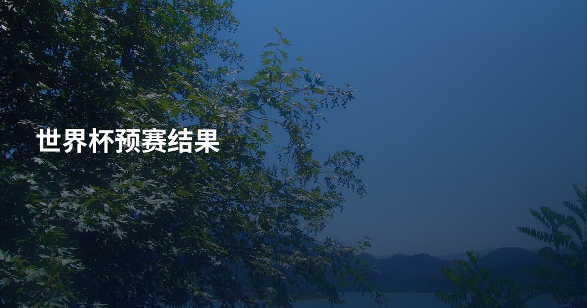 世界杯预赛结果
