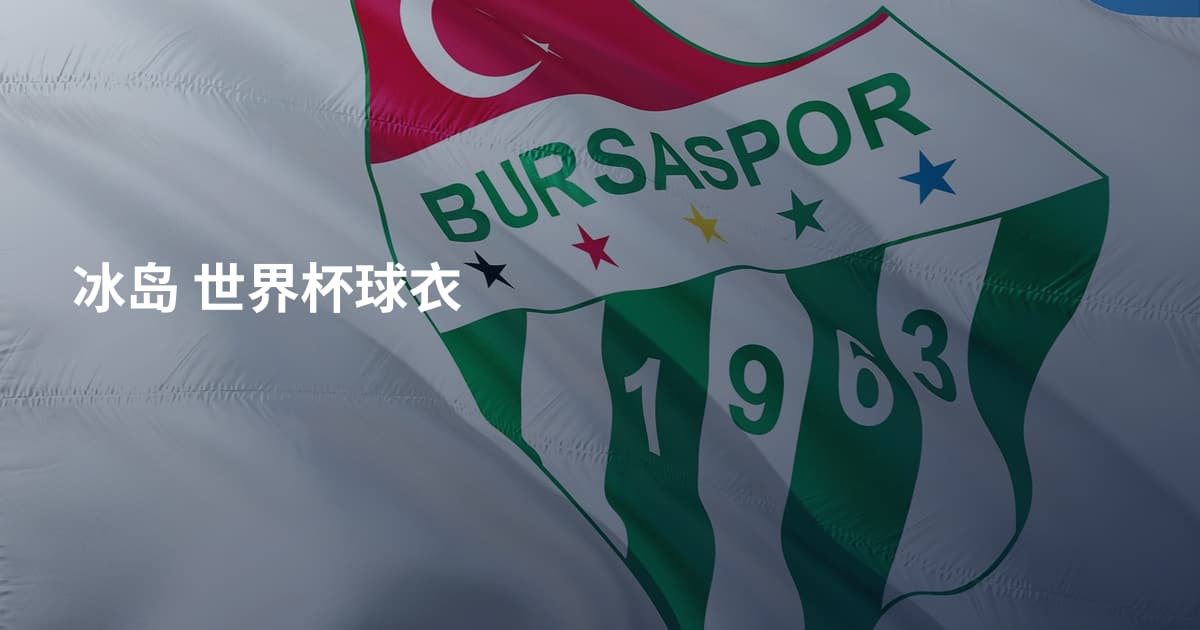 冰岛  世界杯球衣