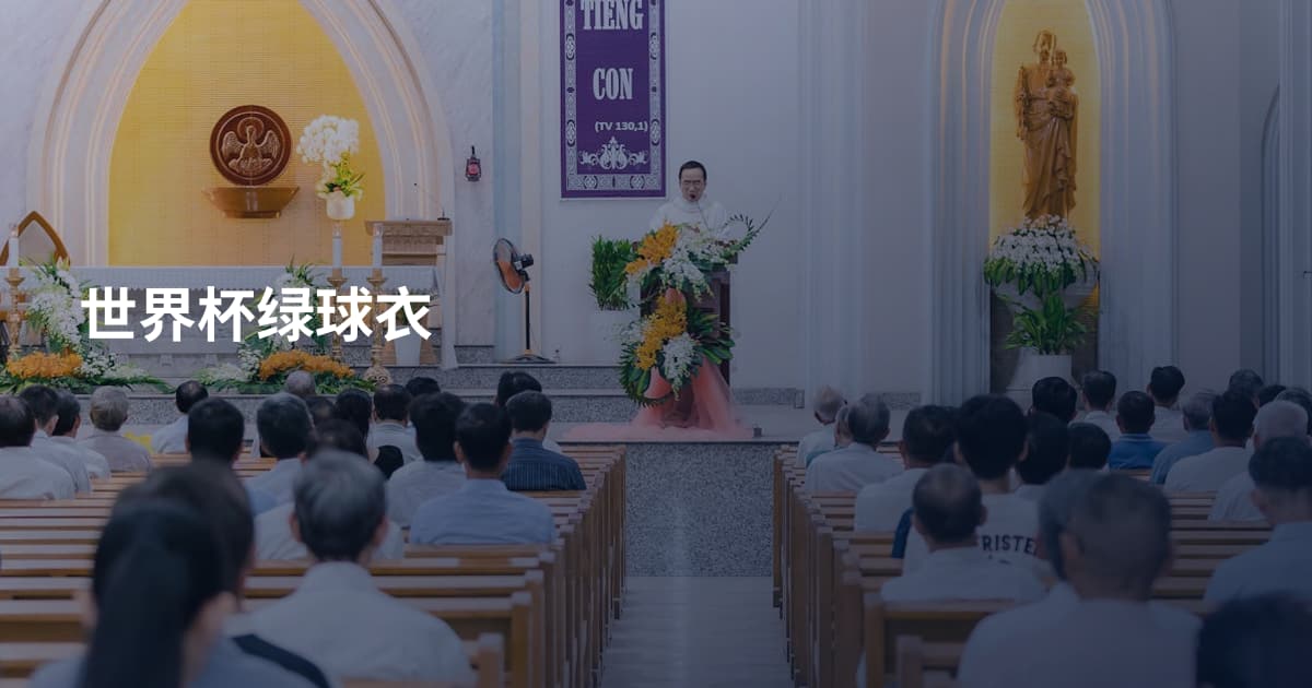 世界杯绿球衣