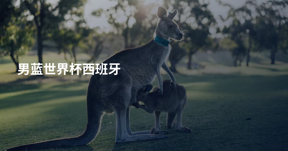 男蓝世界杯西班牙