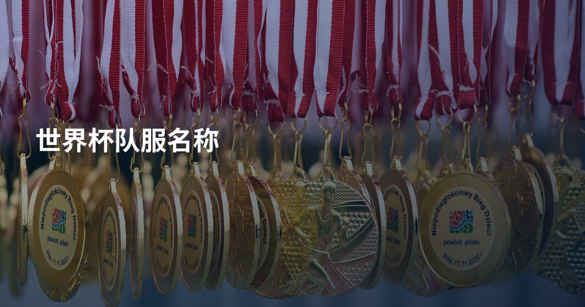 世界杯队服名称