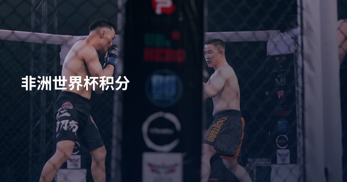 非洲世界杯积分