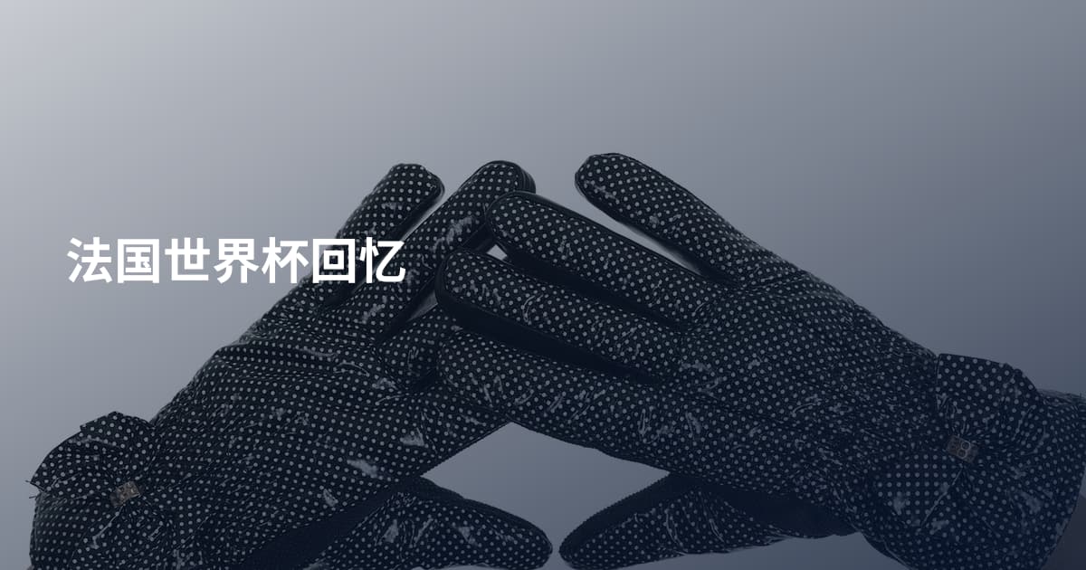 法国世界杯回忆