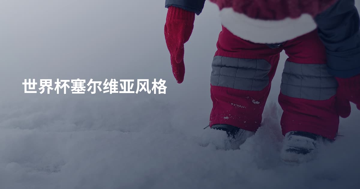 世界杯塞尔维亚风格