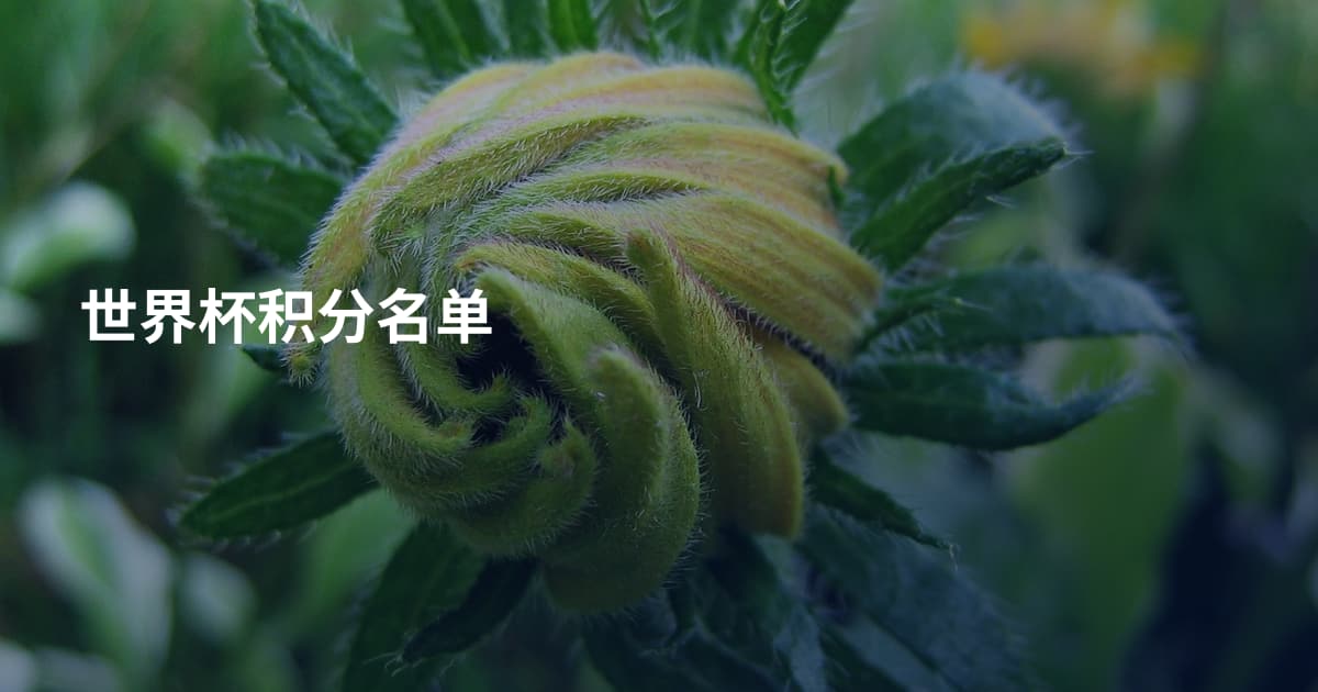 世界杯积分名单