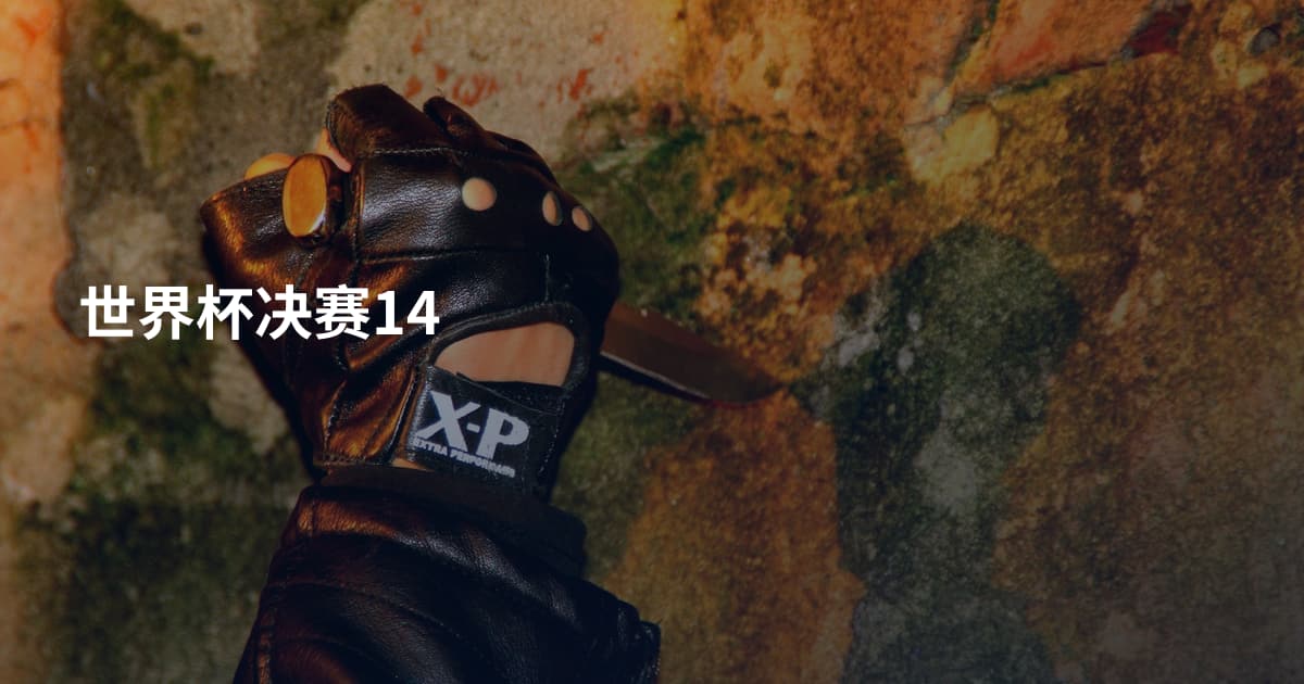 世界杯决赛14