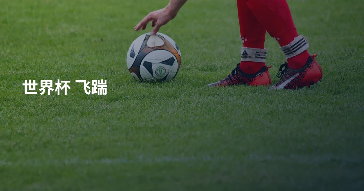 世界杯 飞踹