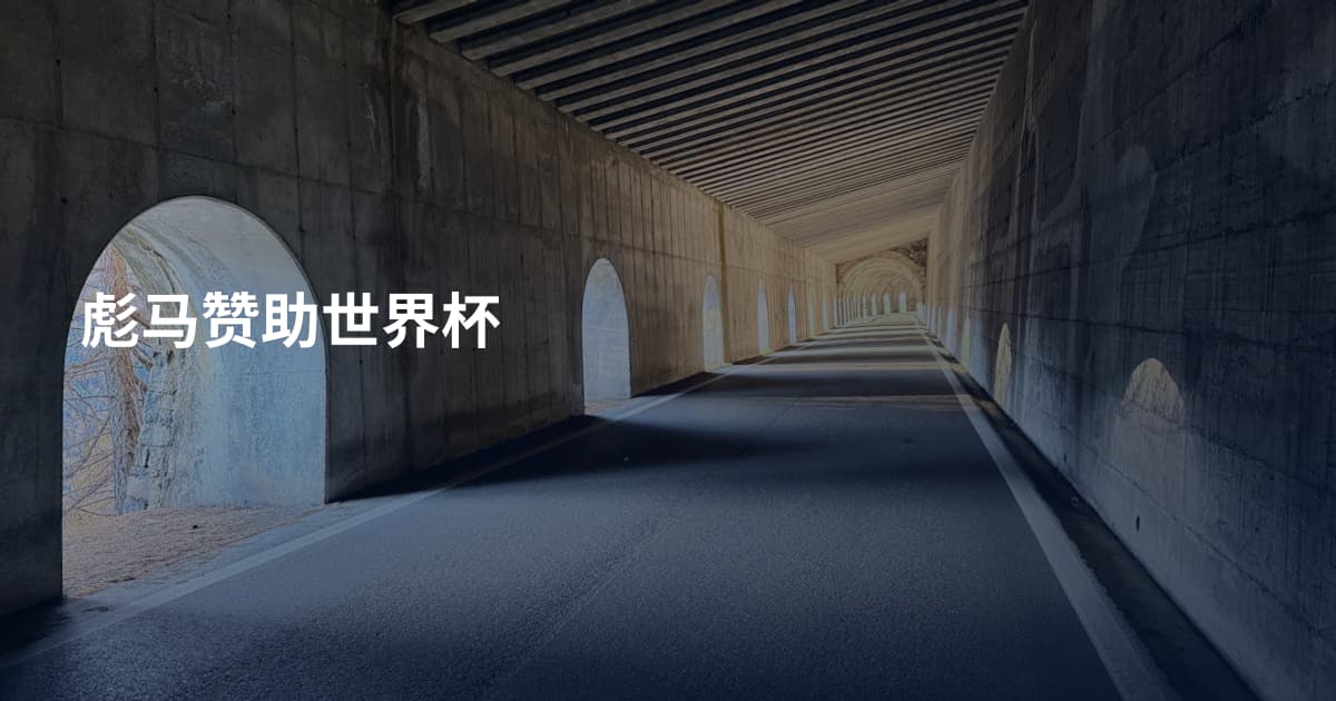 彪马赞助世界杯