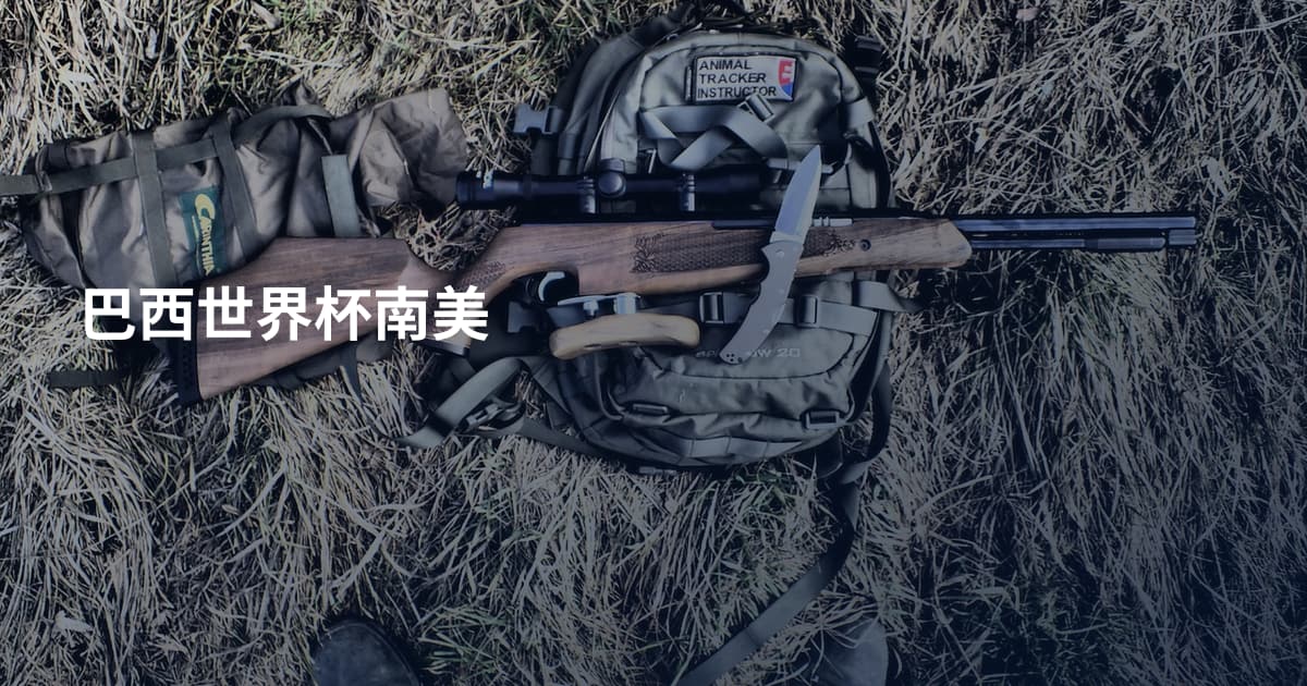 巴西世界杯南美