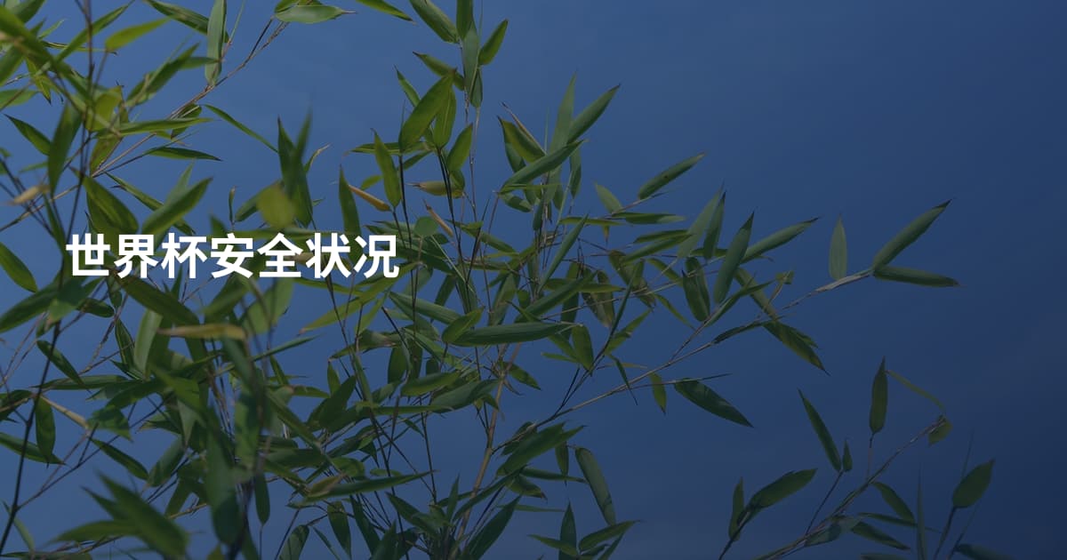 世界杯安全状况