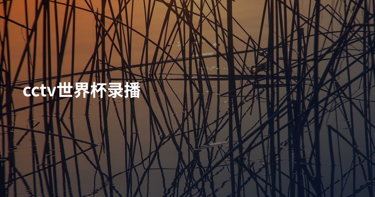 cctv世界杯录播