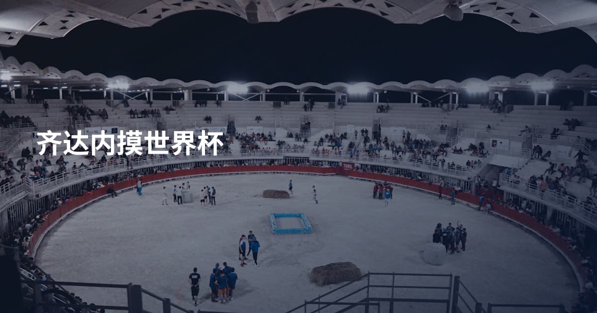 齐达内摸世界杯