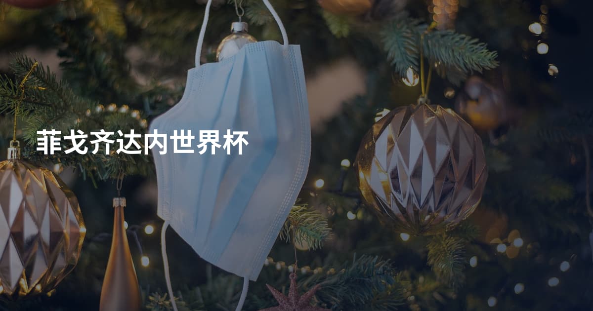 菲戈齐达内世界杯