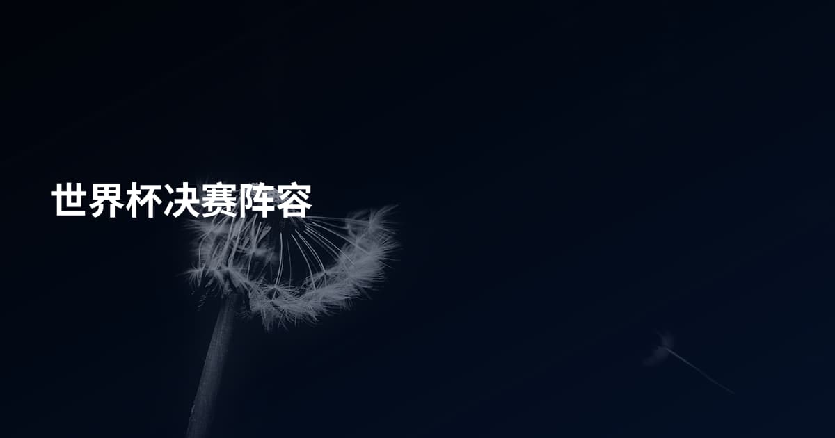 世界杯决赛阵容
