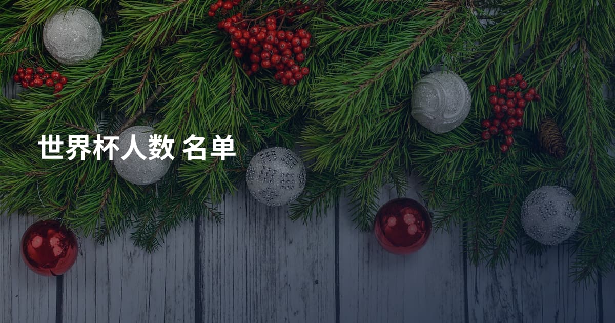 世界杯人数 名单