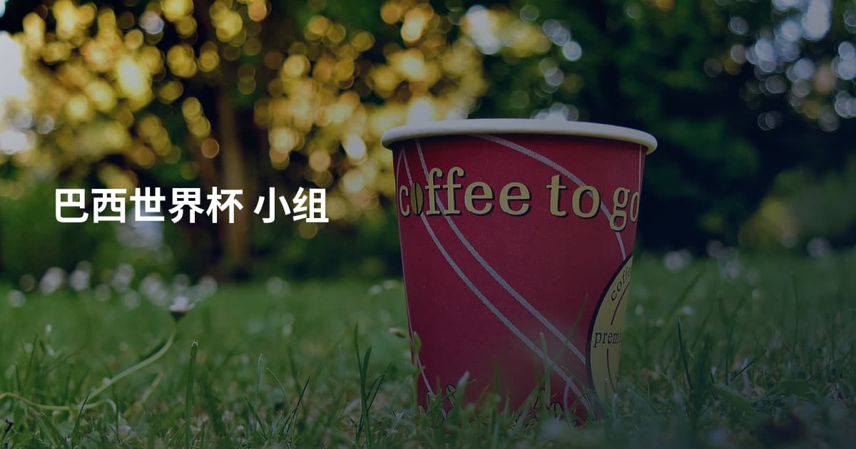 巴西世界杯 小组