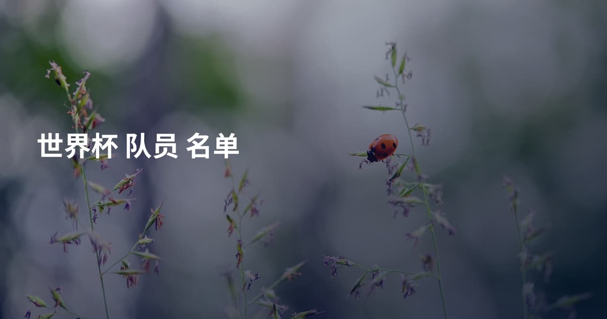 世界杯 队员 名单