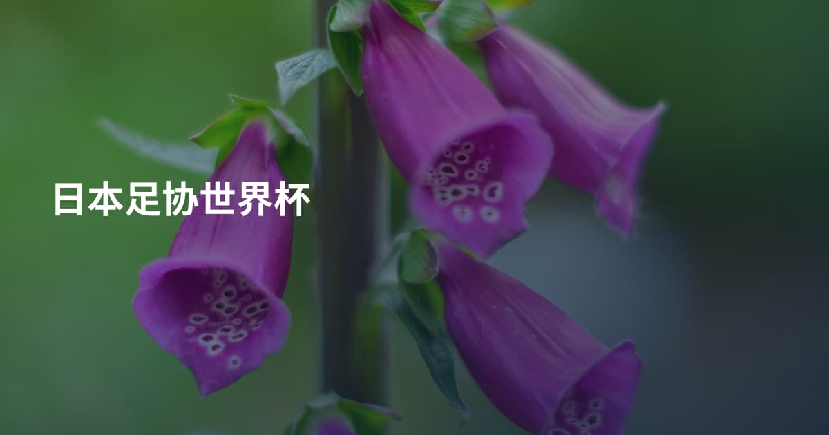 日本足协世界杯