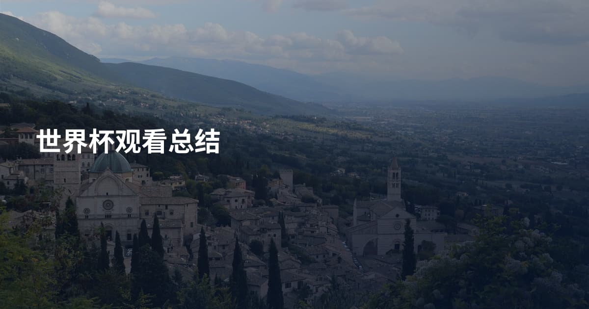 世界杯观看总结