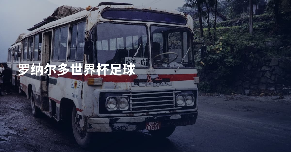 罗纳尔多世界杯足球