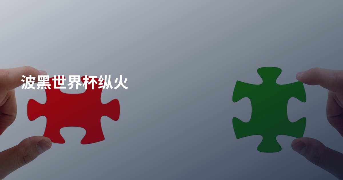 波黑世界杯纵火