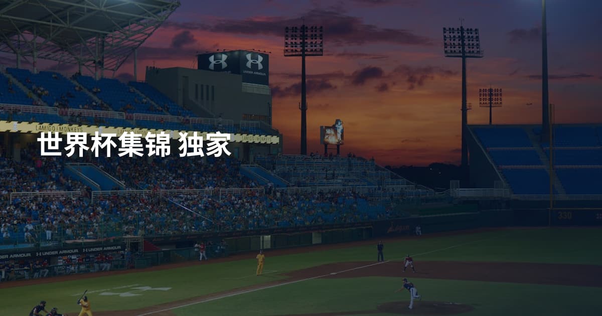 世界杯集锦 独家