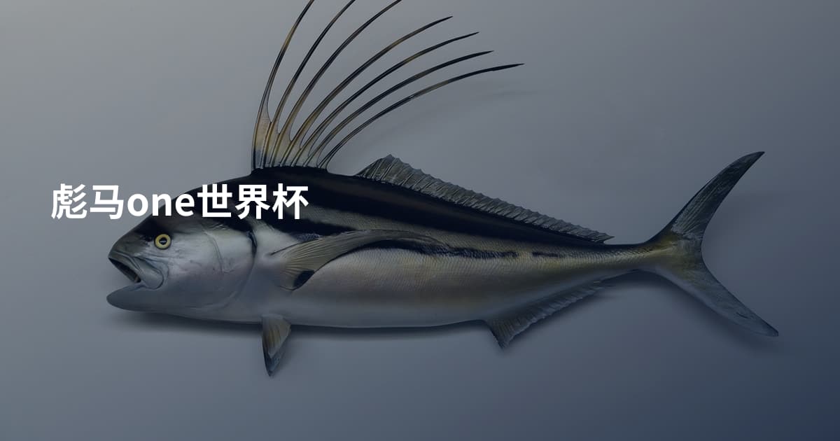 彪马one世界杯