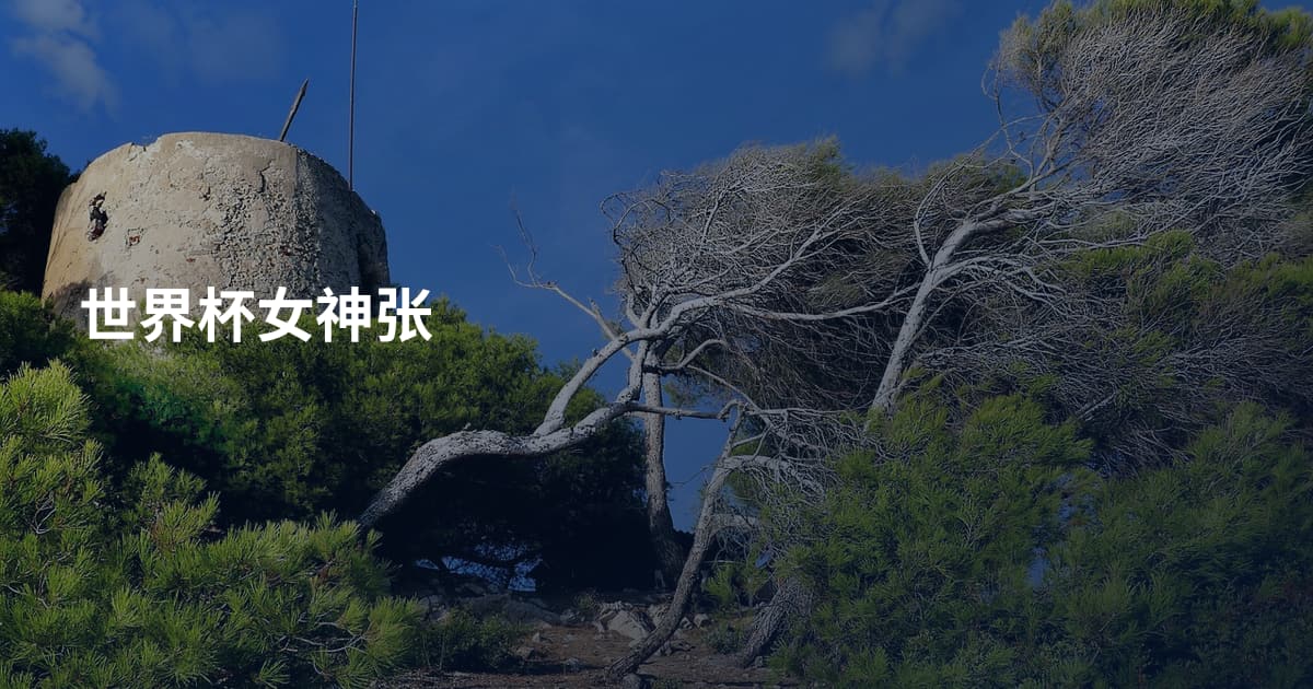 世界杯女神张