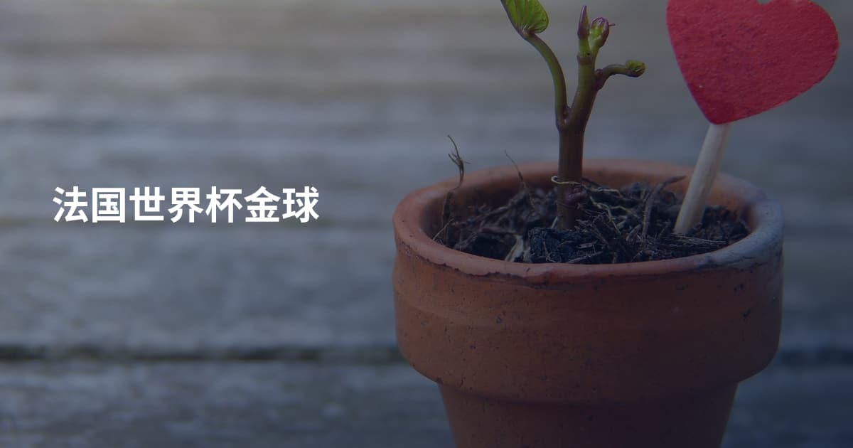 法国世界杯金球