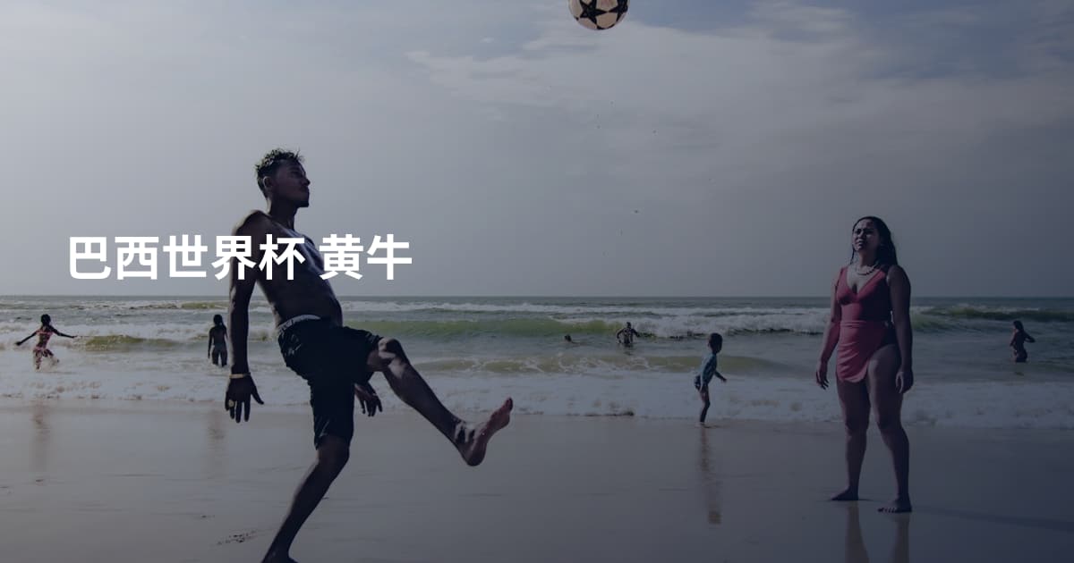 巴西世界杯 黄牛