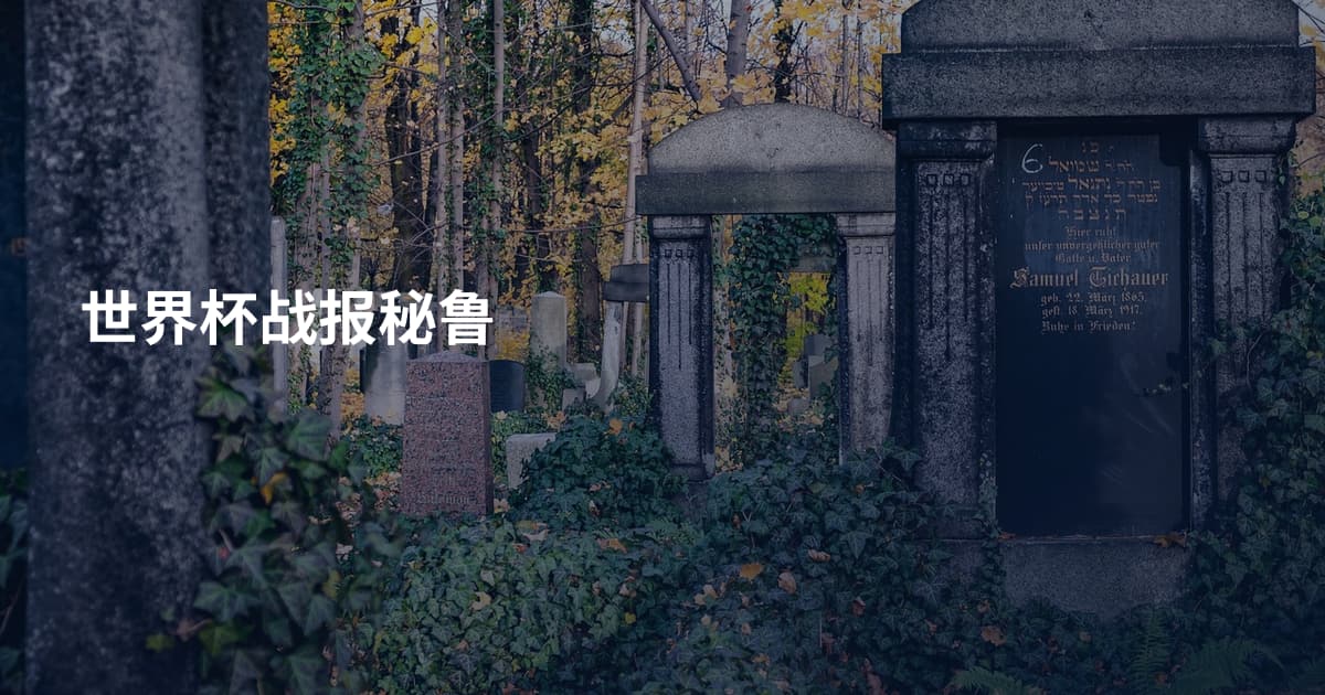 世界杯战报秘鲁