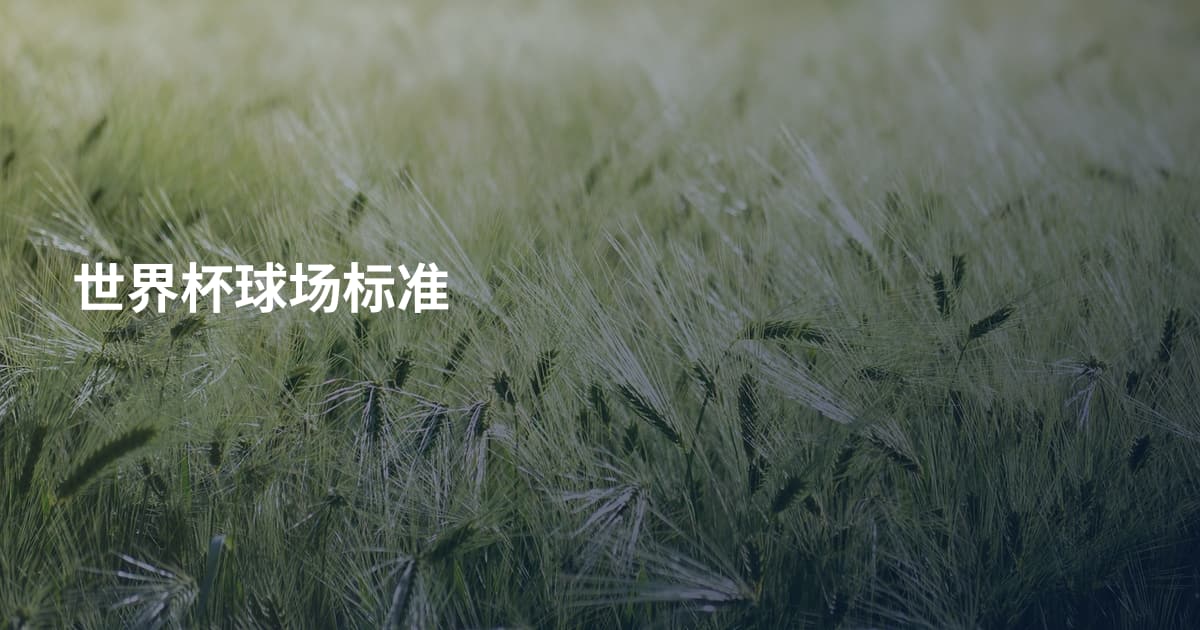 世界杯球场标准
