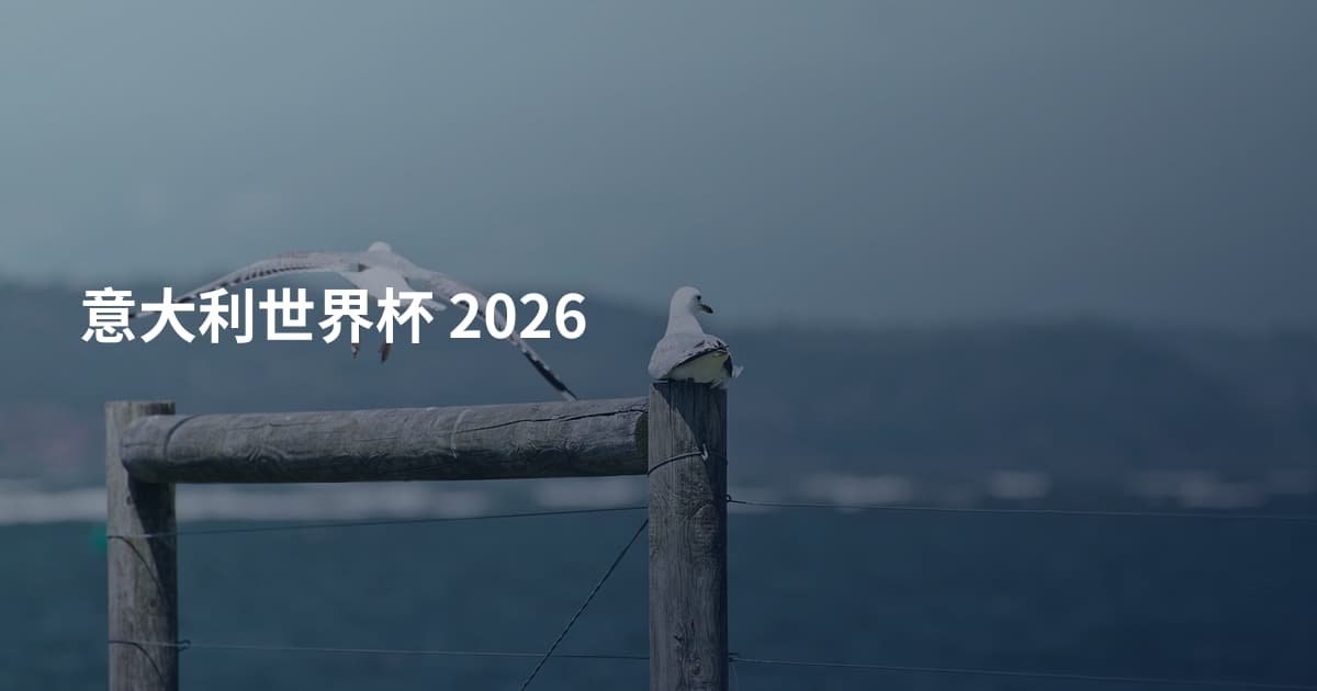 意大利世界杯 2026