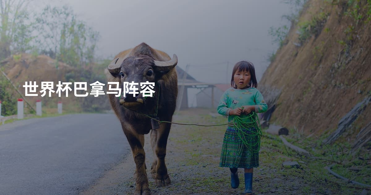 世界杯巴拿马阵容
