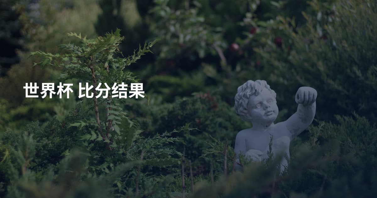 世界杯 比分结果