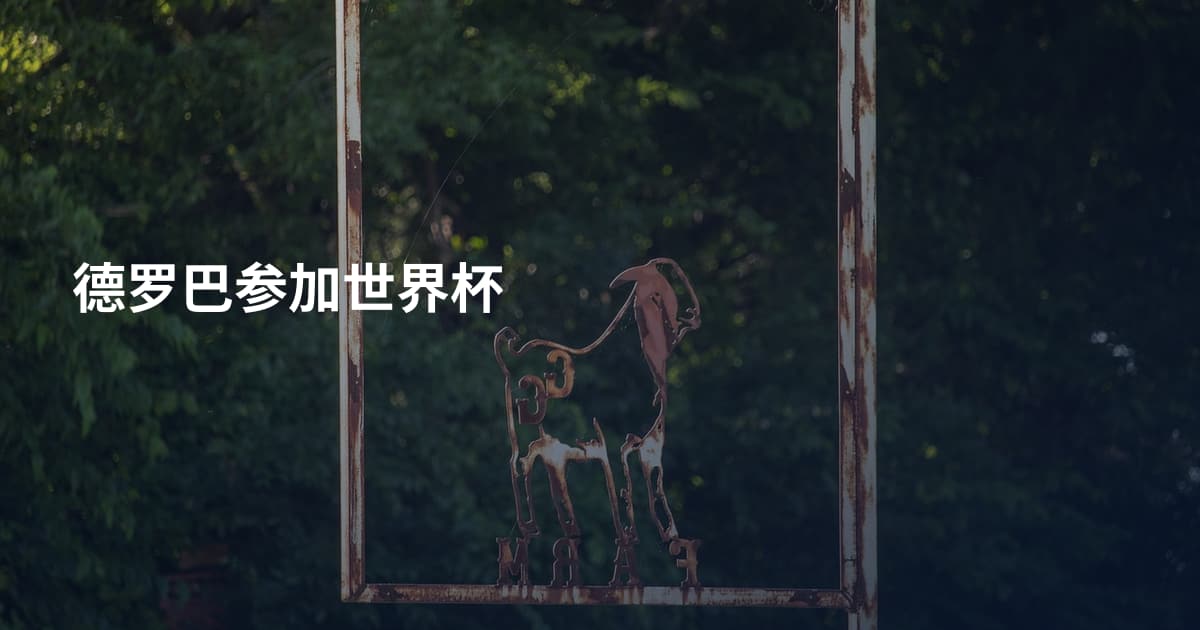 德罗巴参加世界杯