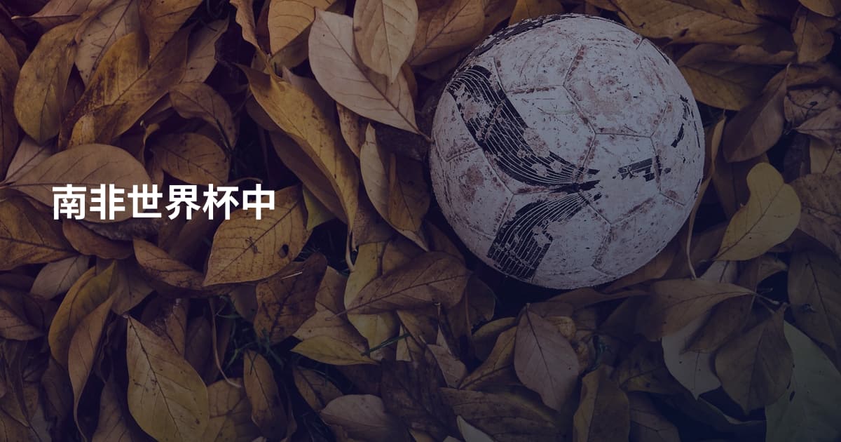 南非世界杯中