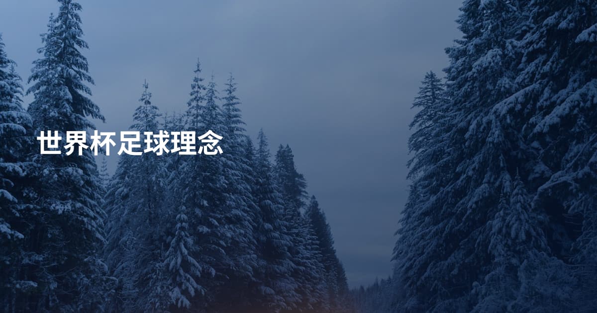 世界杯足球理念