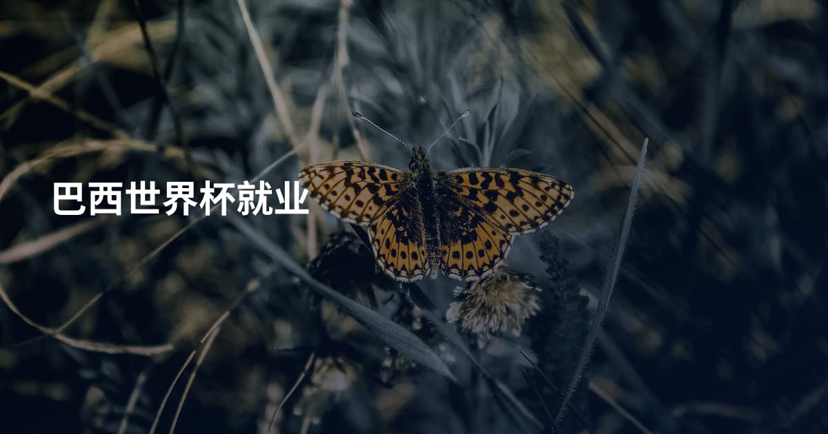 巴西世界杯就业