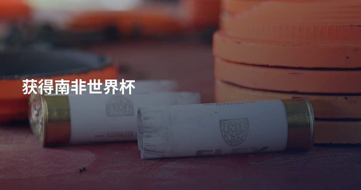 获得南非世界杯