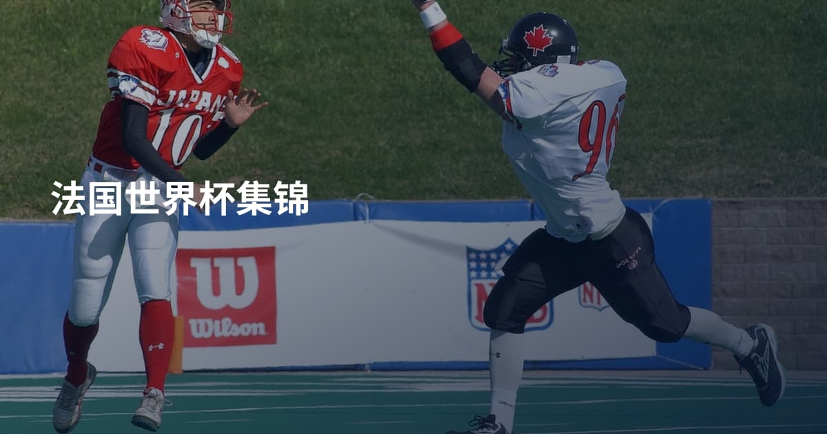 法国世界杯集锦