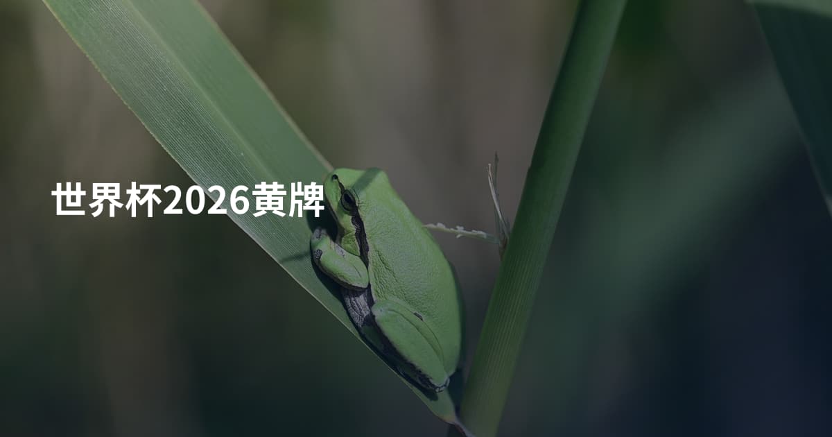 世界杯2026黄牌