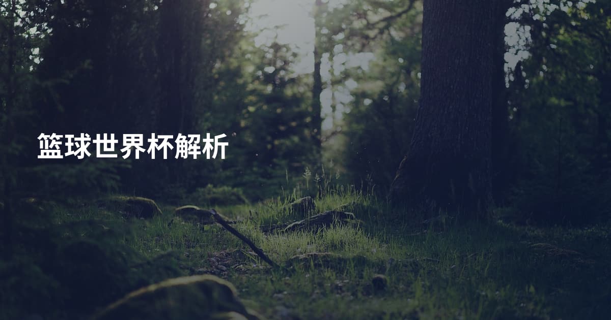 篮球世界杯解析