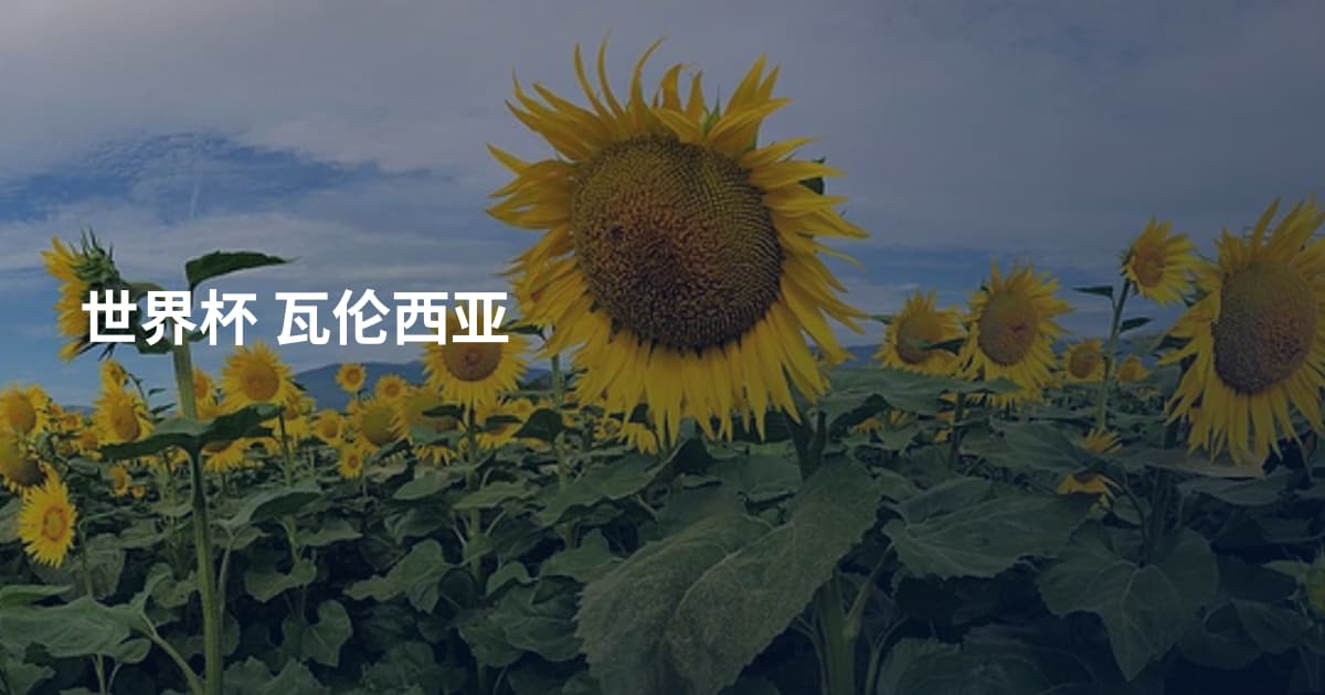 世界杯 瓦伦西亚