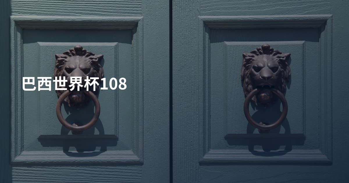 巴西世界杯108