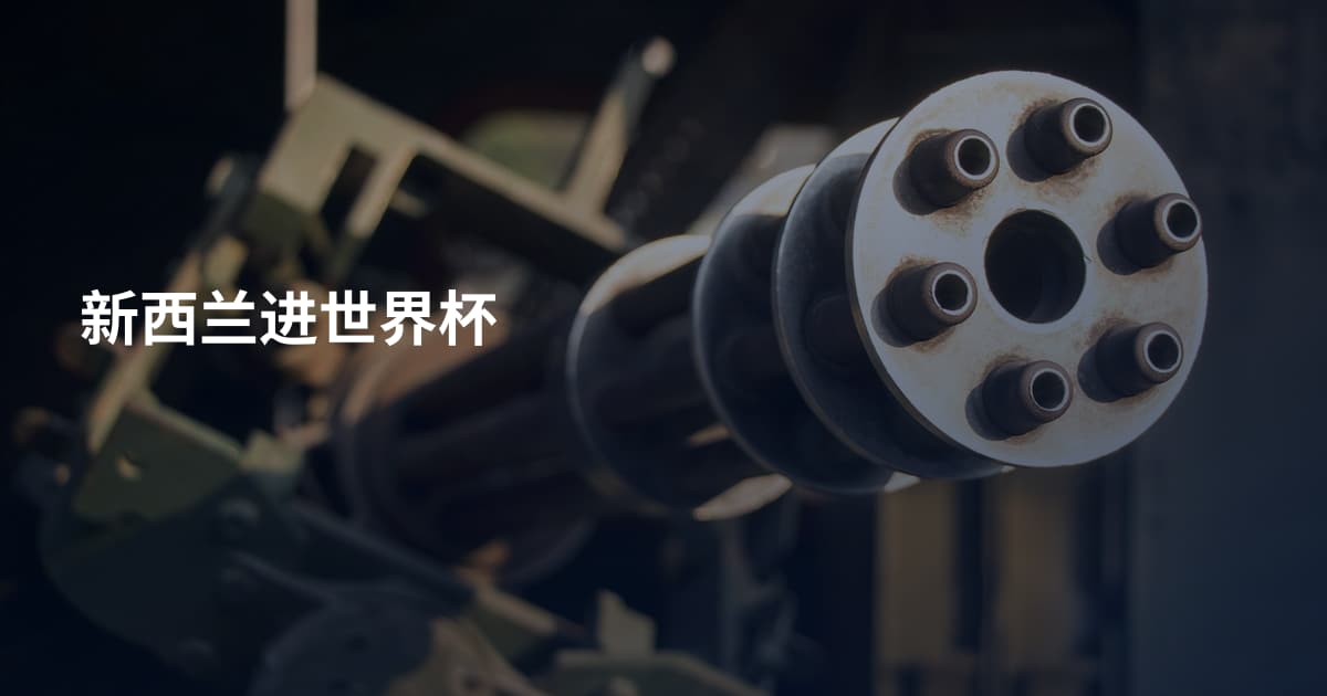 新西兰进世界杯