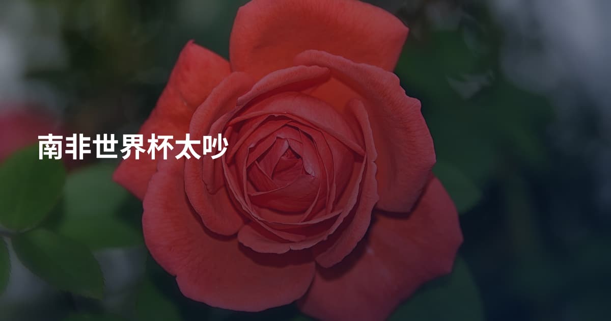 南非世界杯太吵